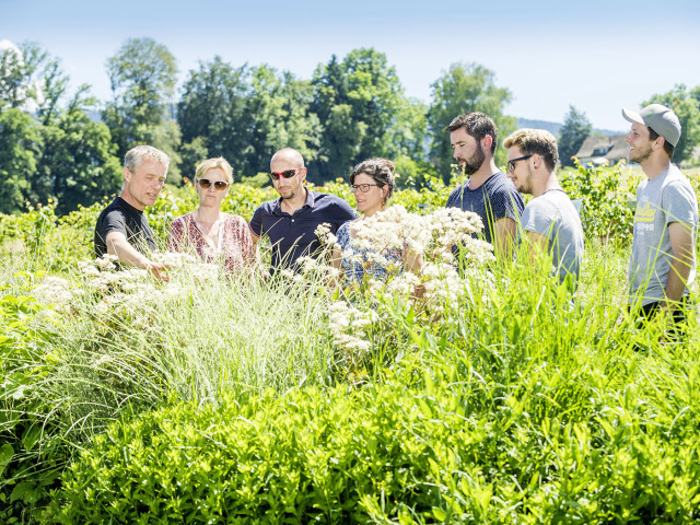 Staudenkurs © Bruederli_1044