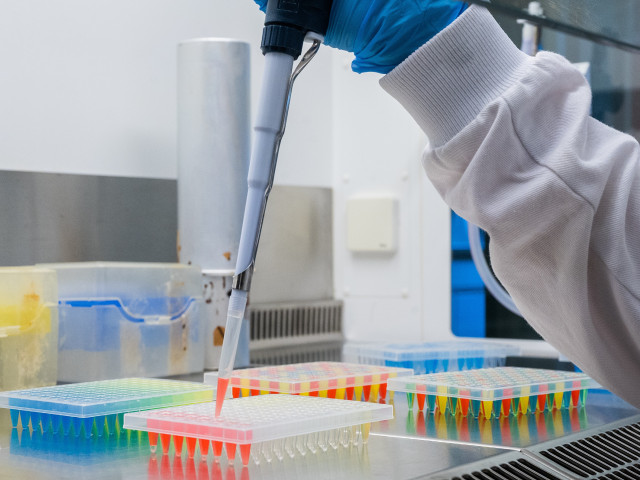 Am AO Forschungsinstitut Davos werden neue biologische Hinweise gesucht, die in Blutproben nachgewiesen werden können.